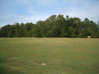 Listings Photo